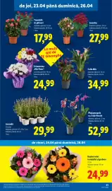 Catalog Lidl săptămâna 17 Pagină 51