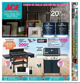 Ace Hardware flyer Page 3