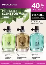 Catálogo Avon Página 199