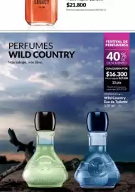 Catálogo Avon Página 88