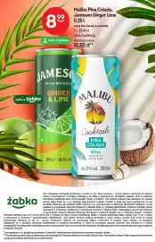 Żabka gazetka | Alkohole Strona 20