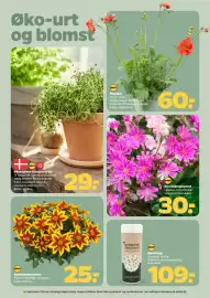 Netto tilbudsavis uge 16 Side 26