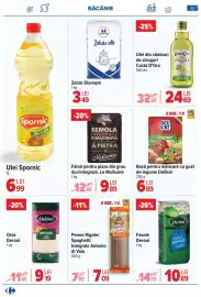 Catalog Carrefour Pagină 23