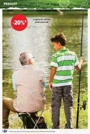 Catalog Carrefour Pagină 7
