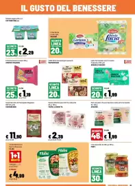 Volantino Iper La Grande Pagina 13