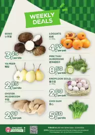 Amazing Oriëntal folder week 16 Pagina 1