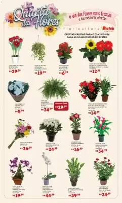 Bistek (válido até 15-04)