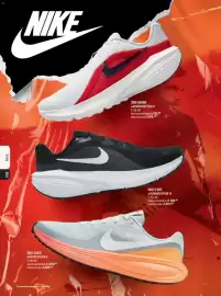 Catálogo Andrea Página 164