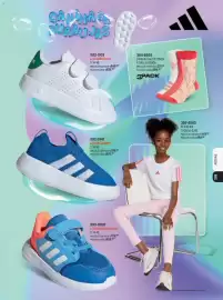 Catálogo Andrea Página 244