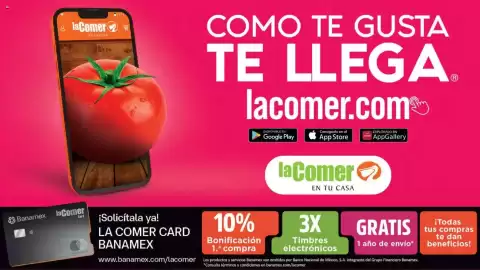 Folleto La Comer Página 15