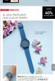 Catálogo Avon Página 41