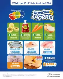 Catálogo Surtifamiliar Página 3