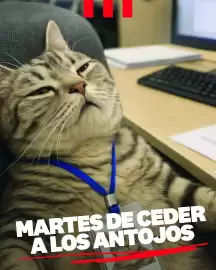 Catálogo KFC Página 1