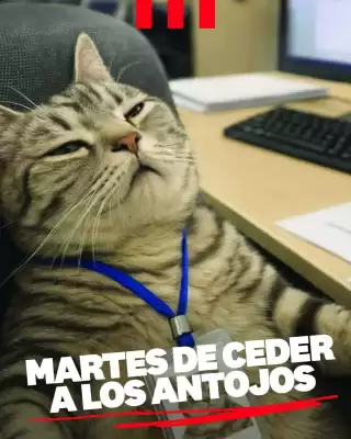 KFC (válido hasta 28-04)