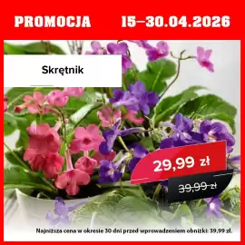 Szarotka gazetka Strona 1