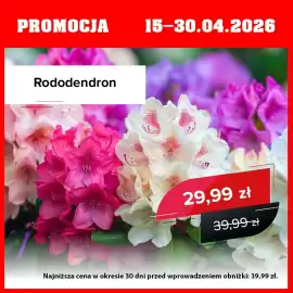 Szarotka gazetka Strona 2