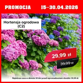 Szarotka gazetka Strona 3