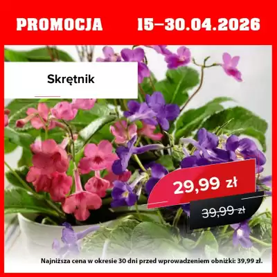 Szarotka gazetka (ważność do 30-04)