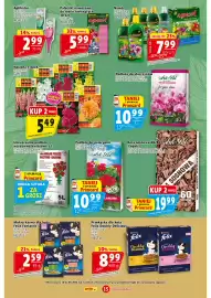 Prim Market gazetka tydzień 16 Strona 15