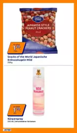 Action Flugblatt woche 16 Seite 19