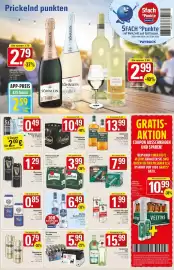 WEZ Prospekt woche 17 Seite 13