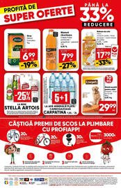 Catalog PROFI Pagină 18