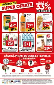 Catalog PROFI Pagină 18
