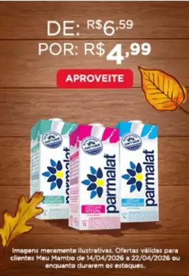 Mambo (válido até 22-04)