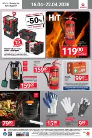 Selgros gazetka tydzień 16 Strona 10