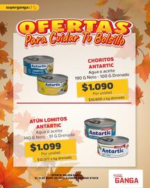 Catálogo Super Ganga Página 8