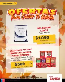 Catálogo Super Ganga Página 6