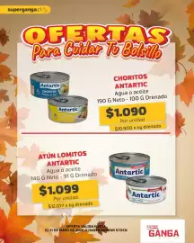 Catálogo Super Ganga Página 8