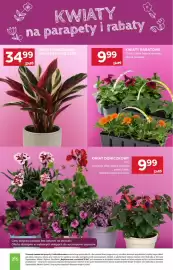 Stokrotka Market gazetka tydzień 16 Strona 7