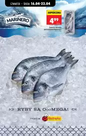 Biedronka gazetka tydzień 16 Strona 42