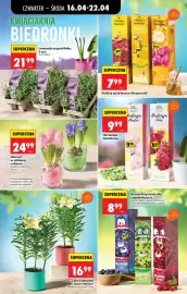 Biedronka gazetka tydzień 16 Strona 43