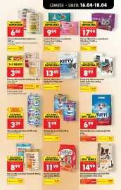 Biedronka gazetka tydzień 16 Strona 85