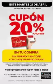 Folleto Supermercados DIA semana 16 Página 14