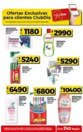 Folleto Supermercados DIA semana 16 Página 37