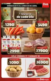Folleto Supermercados DIA semana 16 Página 5