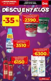 Folleto Supermercados DIA semana 16 Página 9