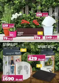 Family Diszkont akciós újság hét 16 Oldal 18