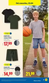 Lidl gazetka tydzień 17 Strona 45
