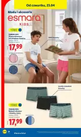 Lidl gazetka tydzień 17 Strona 46