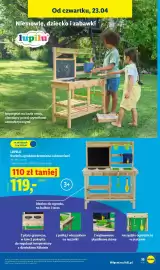 Lidl gazetka tydzień 17 Strona 47