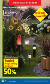 Lidl gazetka tydzień 17 Strona 54