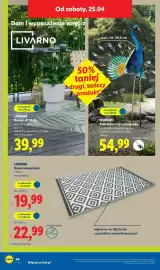 Lidl gazetka tydzień 17 Strona 58