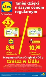Lidl gazetka Strona 13