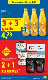 Lidl gazetka Strona 31