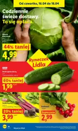 Lidl gazetka Strona 48