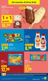 Lidl gazetka Strona 65